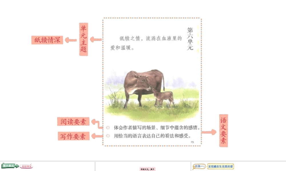 2024统编版-小学语文五年级上册第六单元18.慈母情深-教学课件