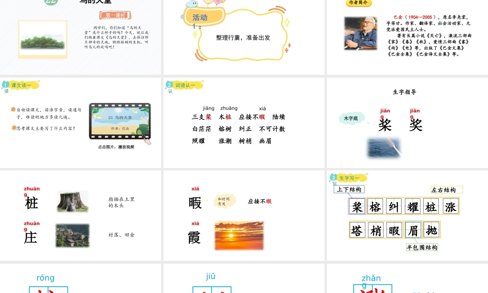 2024统编版-小学语文五年级上册第七单元22 鸟的天堂-教学课件