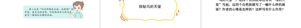 2024统编版-小学语文五年级上册第七单元22 鸟的天堂-教学课件
