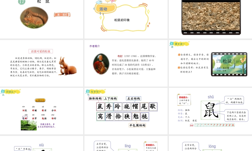 2024统编版-小学语文五年级上册第五单元17.松鼠-教学课件