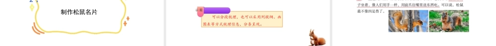 2024统编版-小学语文五年级上册第五单元17.松鼠-教学课件