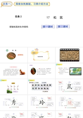 2024统编版-小学语文五年级上册第五单元17.松鼠-教学课件