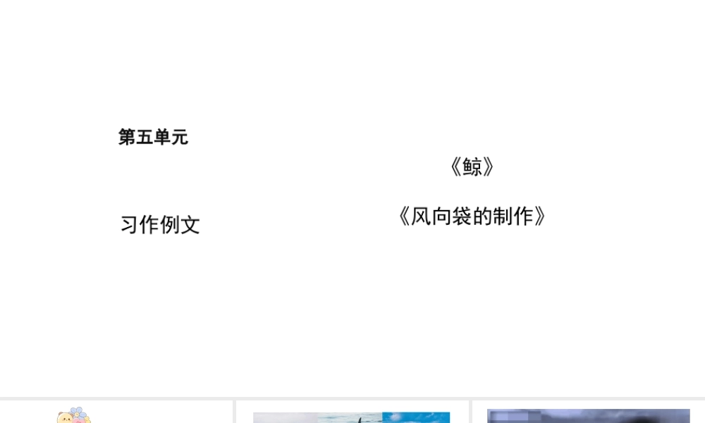 2024统编版-小学语文五年级上册第五单元习作例文-教学课件