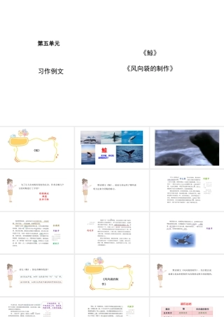 2024统编版-小学语文五年级上册第五单元习作例文-教学课件