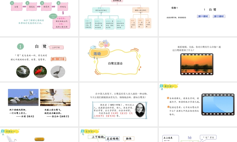 2024统编版-小学语文五年级上册第一单元1.白鹭-教学课件