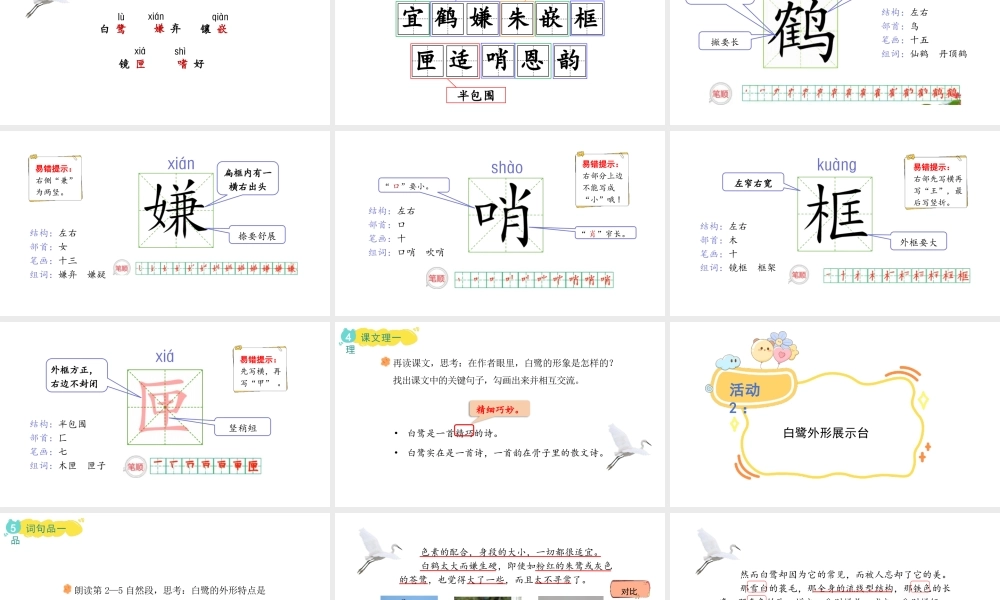 2024统编版-小学语文五年级上册第一单元1.白鹭-教学课件