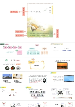 2024统编版-小学语文五年级上册第一单元1.白鹭-教学课件