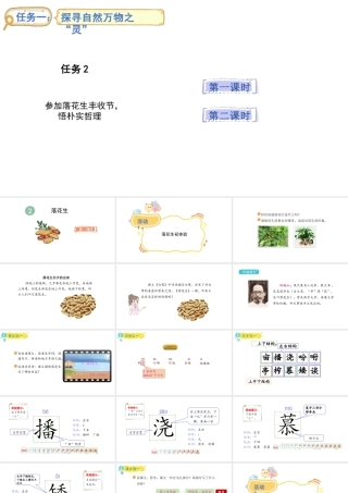 2024统编版-小学语文五年级上册第一单元2.落花生-教学课件