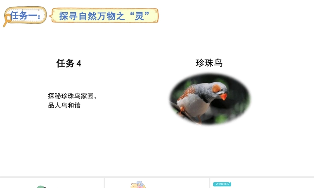 2024统编版-小学语文五年级上册第一单元4.珍珠鸟-教学课件