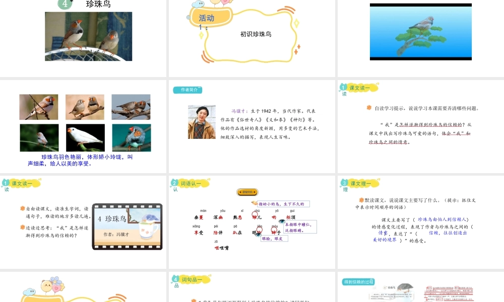 2024统编版-小学语文五年级上册第一单元4.珍珠鸟-教学课件