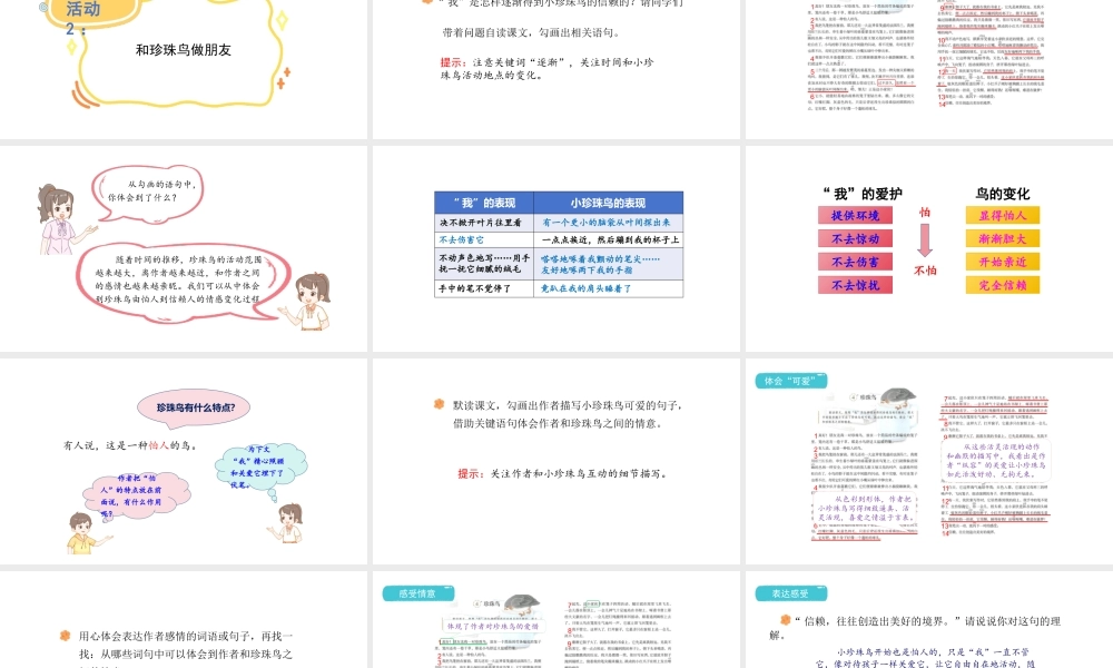 2024统编版-小学语文五年级上册第一单元4.珍珠鸟-教学课件