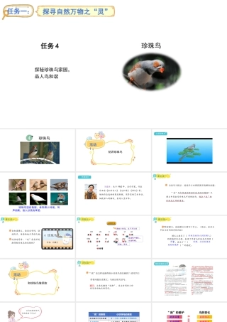 2024统编版-小学语文五年级上册第一单元4.珍珠鸟-教学课件