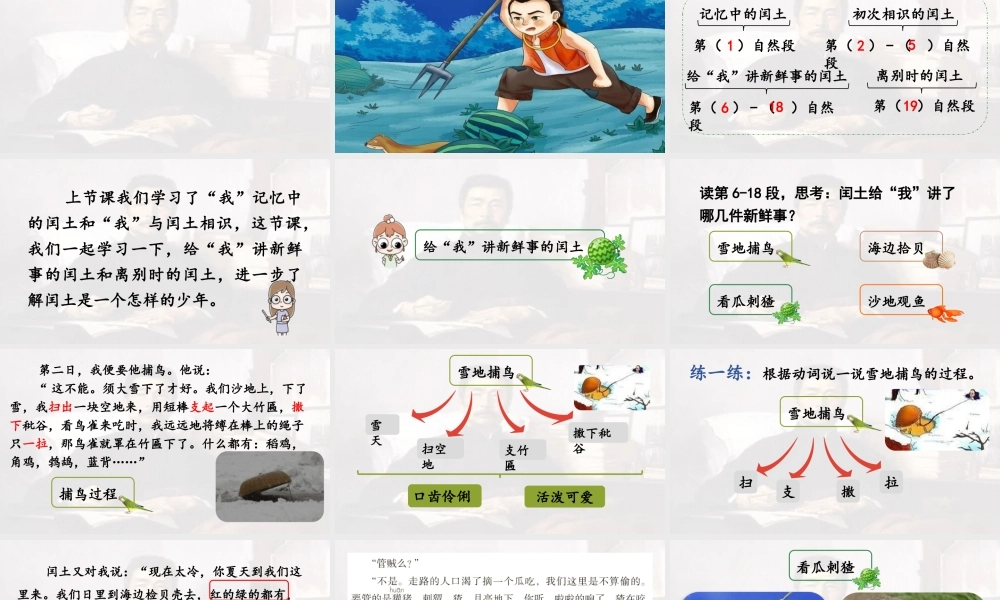 2024统编版小学语文六年级上册第八单元25.少年闰土第2课时-教学课件