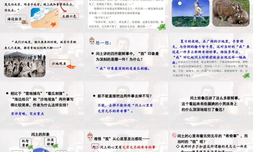 2024统编版小学语文六年级上册第八单元25.少年闰土第2课时-教学课件