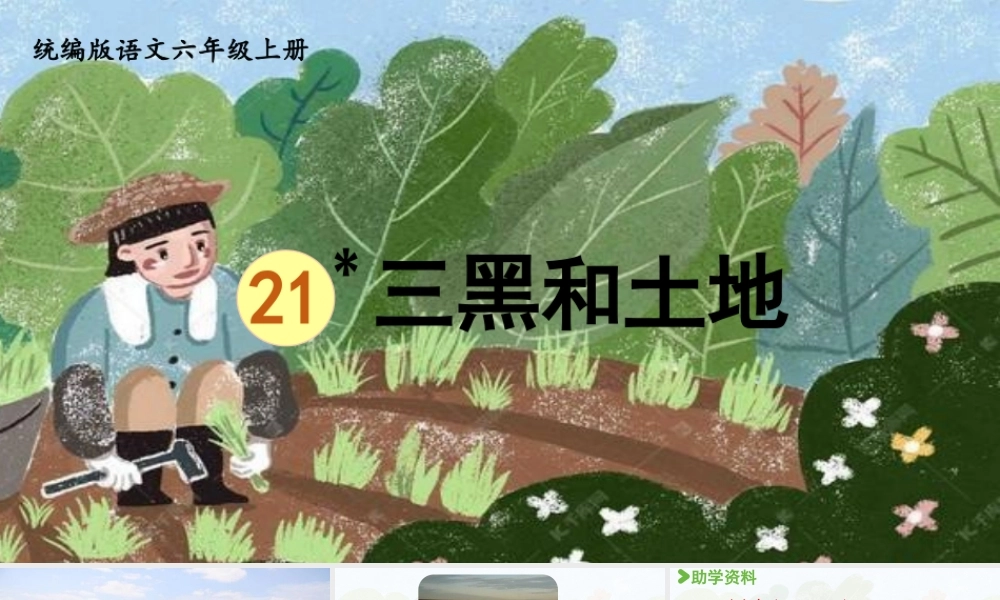2024统编版小学语文六年级上册第六单元21.三黑和土地-教学课件