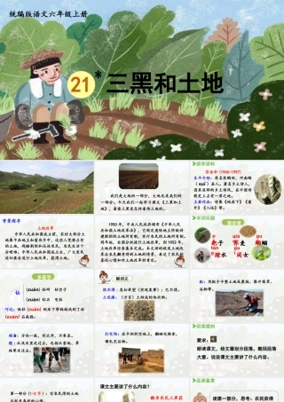 2024统编版小学语文六年级上册第六单元21.三黑和土地-教学课件
