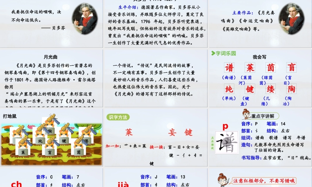 2024统编版小学语文六年级上册第七单元23.月光曲第1课时-教学课件