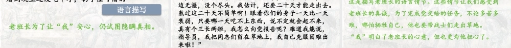 2024统编版小学语文六年级上册第四单元15.金色的鱼钩-教学课件