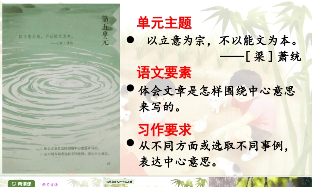 2024统编版小学语文六年级上册第五单元16《夏天里的成长》第1课时-教学课件