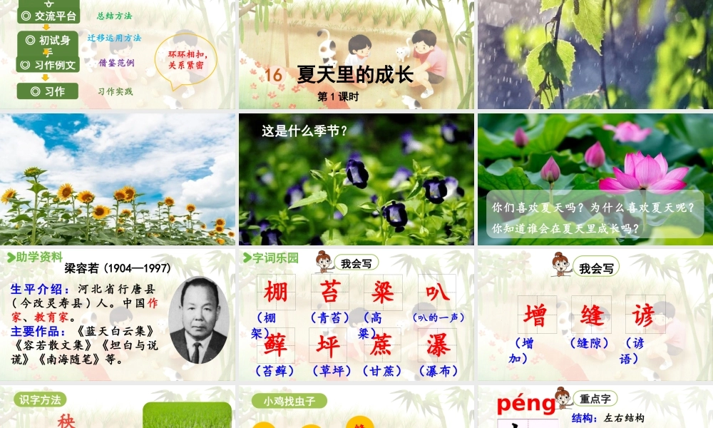 2024统编版小学语文六年级上册第五单元16《夏天里的成长》第1课时-教学课件