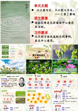 2024统编版小学语文六年级上册第五单元16《夏天里的成长》第1课时-教学课件