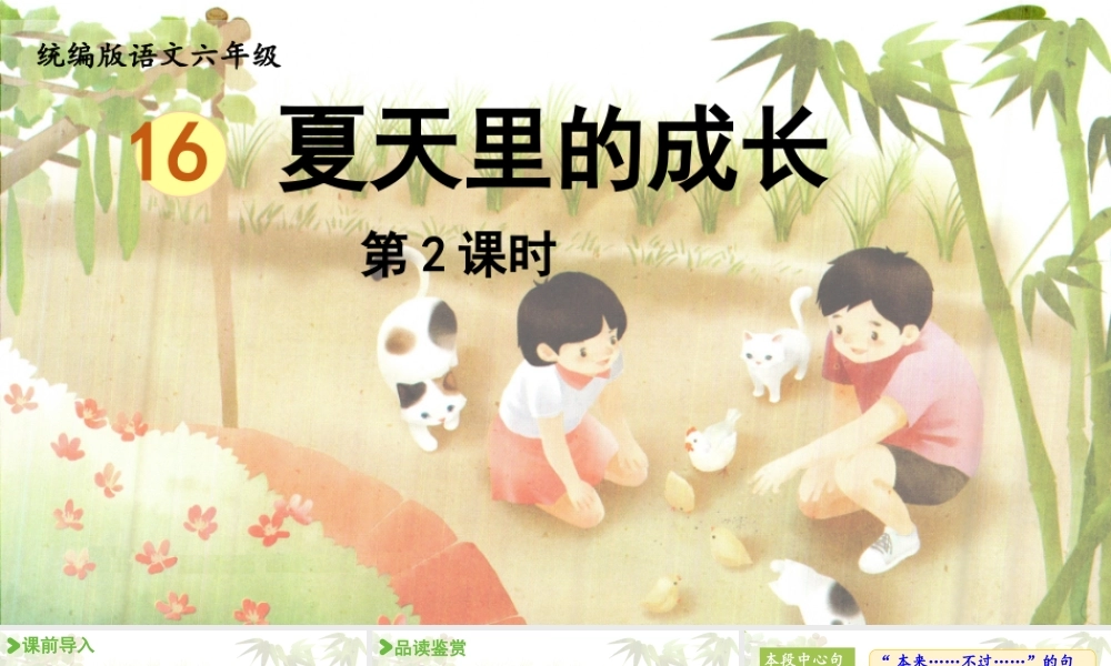 2024统编版小学语文六年级上册第五单元16《夏天里的成长》第2课时-教学课件