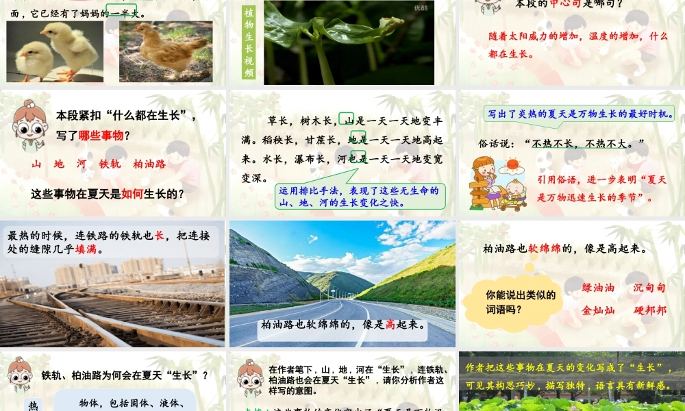 2024统编版小学语文六年级上册第五单元16《夏天里的成长》第2课时-教学课件