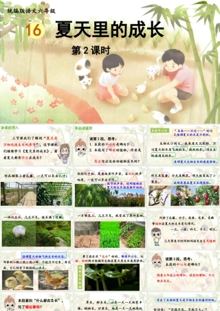 2024统编版小学语文六年级上册第五单元16《夏天里的成长》第2课时-教学课件