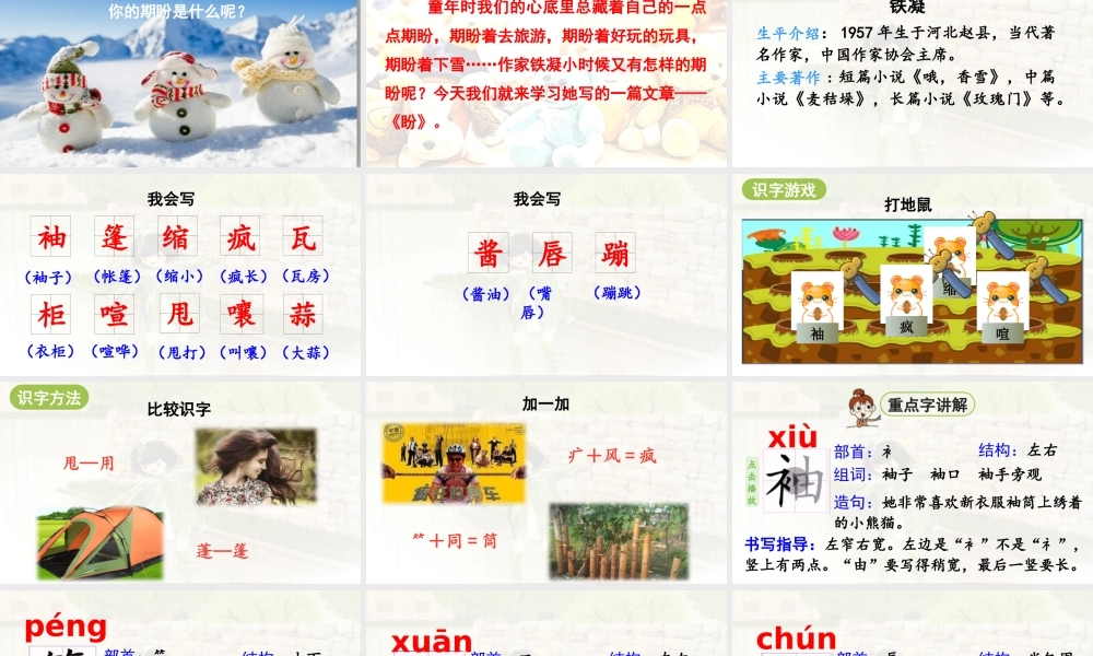 2024统编版小学语文六年级上册第五单元17《盼》第1课时-教学课件