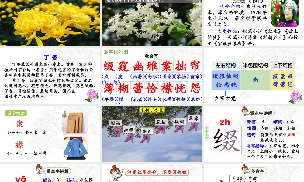 2024统编版小学语文六年级上册第一单元2.丁香结 第1课时-教学课件