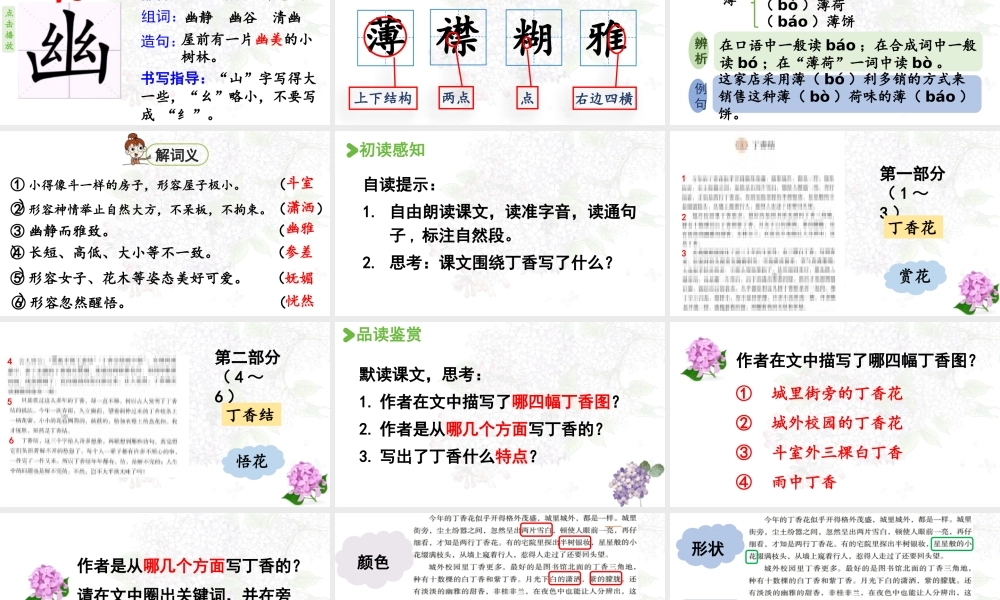 2024统编版小学语文六年级上册第一单元2.丁香结 第1课时-教学课件