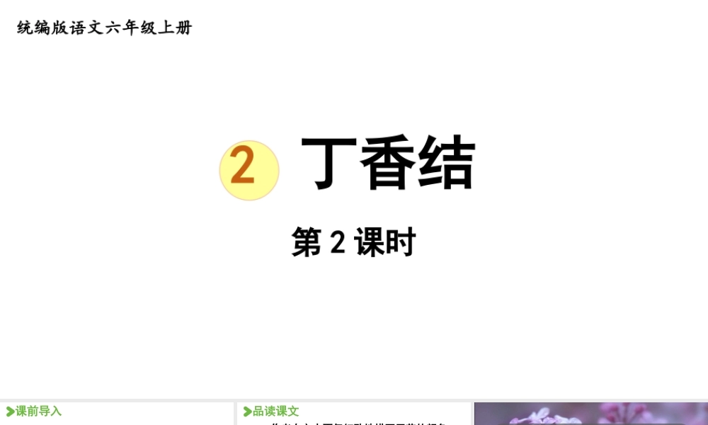 2024统编版小学语文六年级上册第一单元2.丁香结 第2课时-教学课件