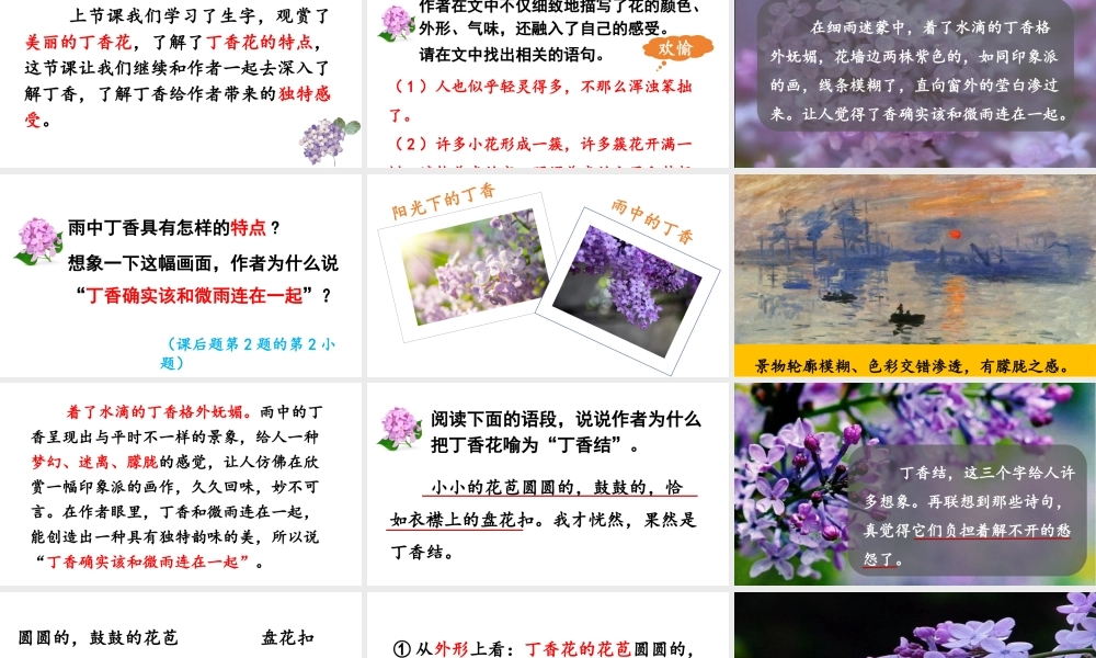 2024统编版小学语文六年级上册第一单元2.丁香结 第2课时-教学课件