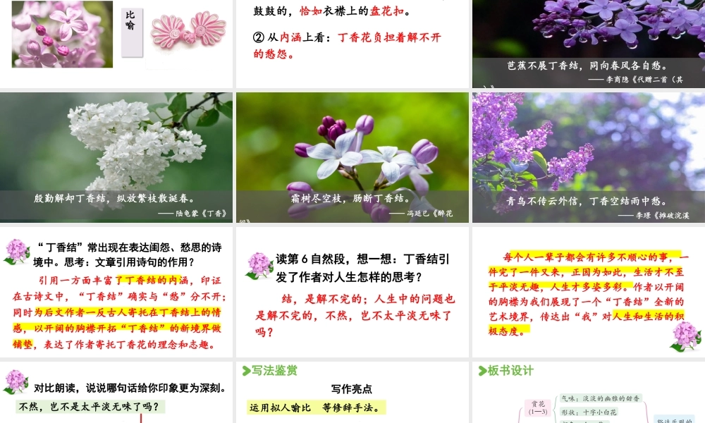 2024统编版小学语文六年级上册第一单元2.丁香结 第2课时-教学课件