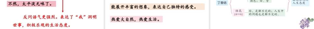 2024统编版小学语文六年级上册第一单元2.丁香结 第2课时-教学课件