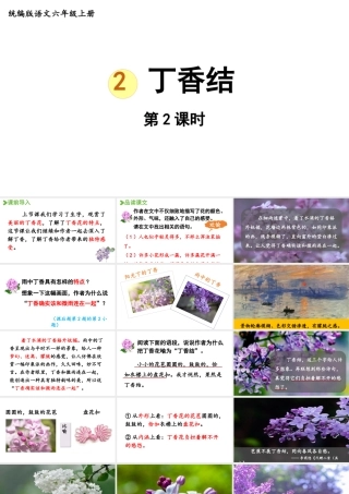 2024统编版小学语文六年级上册第一单元2.丁香结 第2课时-教学课件