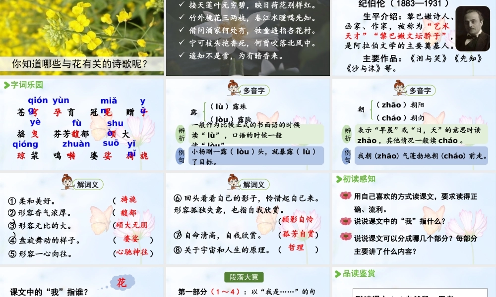 2024统编版小学语文六年级上册第一单元4.花之歌-教学课件
