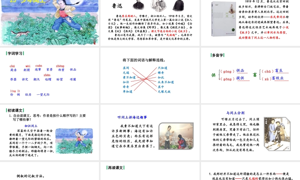 24版人教统编小学六年级上册第八单元25.少年闰土 课件