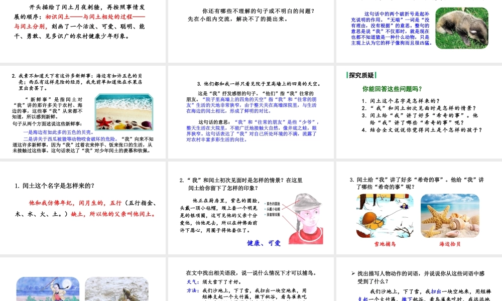 24版人教统编小学六年级上册第八单元25.少年闰土 课件