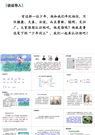24版人教统编小学六年级上册第八单元25.少年闰土 课件