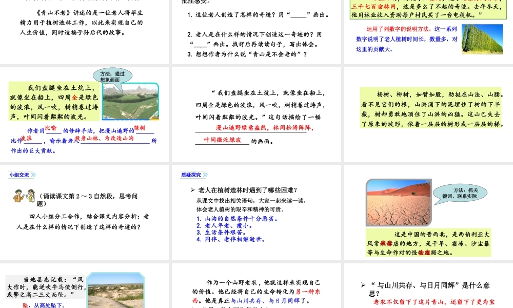 24版人教统编小学六年级上册第六单元20.青山不老 课件