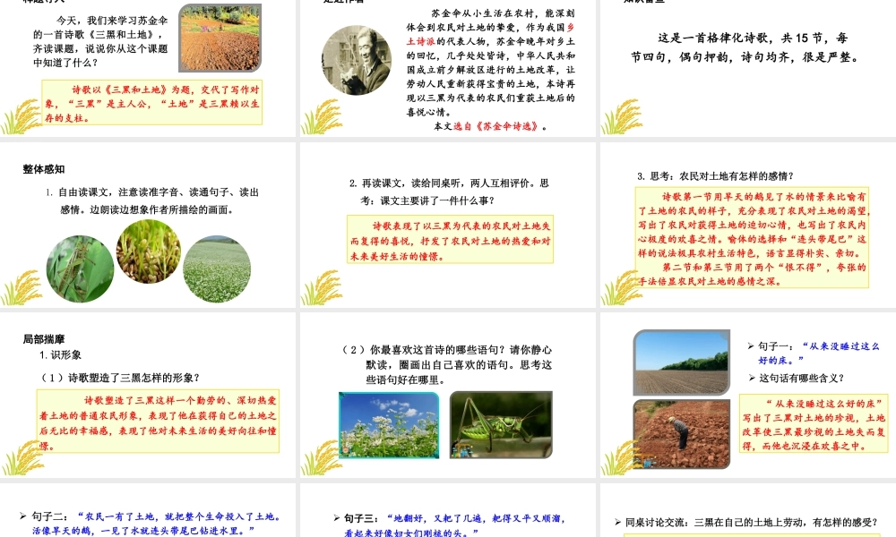24版人教统编小学六年级上册第六单元21.三黑和土地 课件
