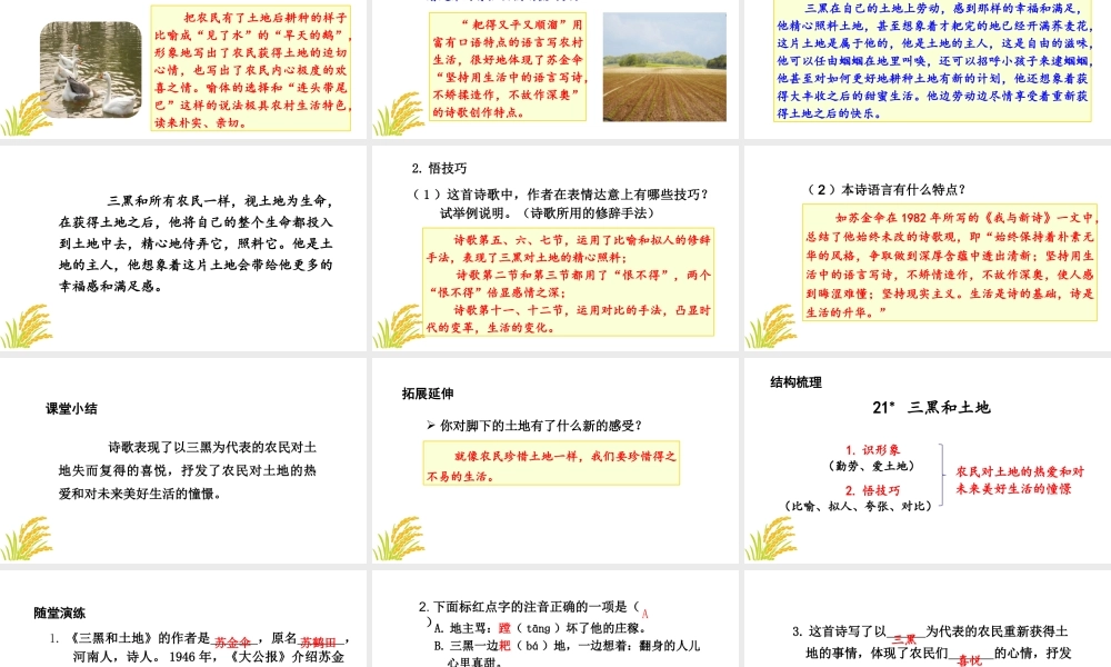24版人教统编小学六年级上册第六单元21.三黑和土地 课件