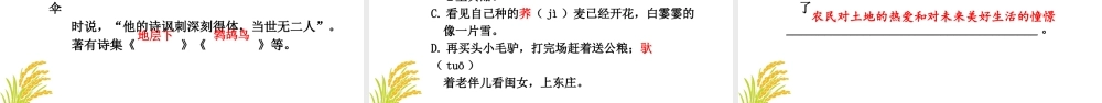 24版人教统编小学六年级上册第六单元21.三黑和土地 课件