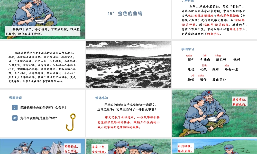 24版人教统编小学六年级上册第四单元15.金色的鱼钩 课件