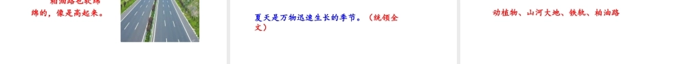 24版人教统编小学六年级上册第五单元16 夏天里的成长 课件
