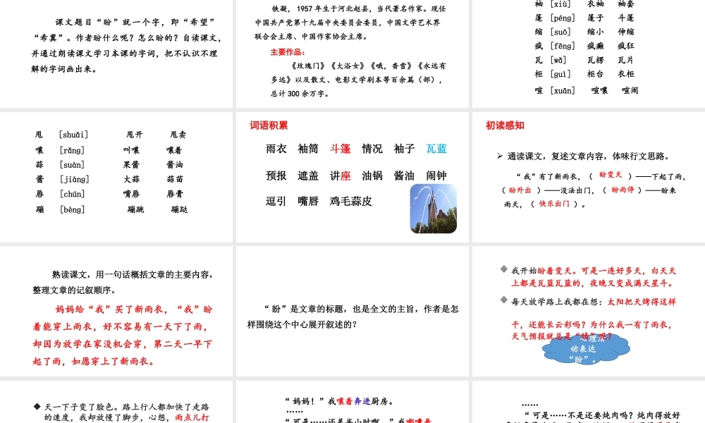 24版人教统编小学六年级上册第五单元17 盼 课件