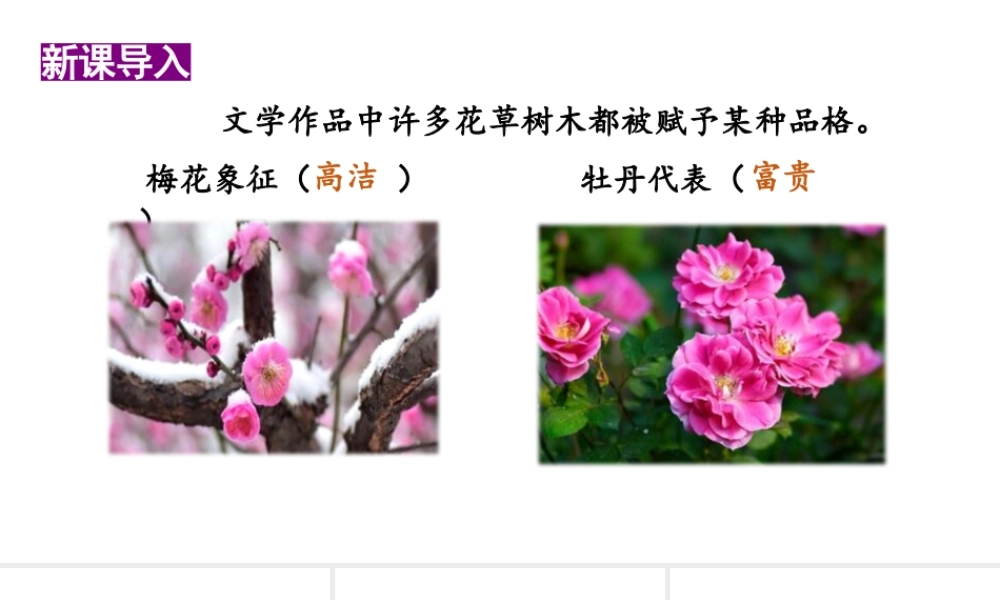 24版人教统编小学六年级上册第一单元2.丁香结 课件