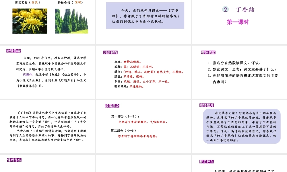 24版人教统编小学六年级上册第一单元2.丁香结 课件
