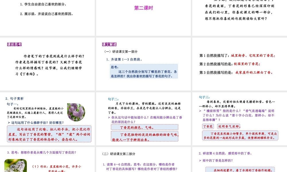 24版人教统编小学六年级上册第一单元2.丁香结 课件